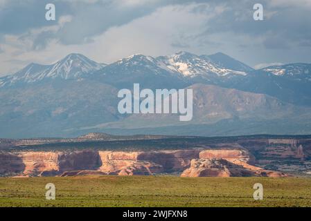 Falaises de Cameo et les montagnes de la Sal, dans le sud de l'Utah. Banque D'Images