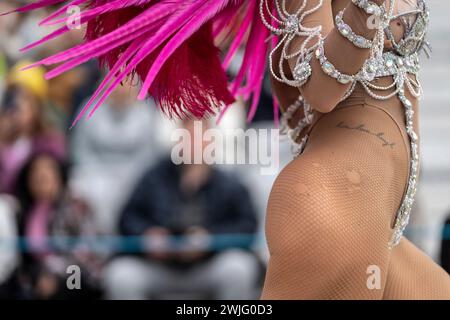 Estarreja, Portugal. 13 février 2024. Estarreja, 13-02-2024 - Carnaval d'Estarreja. Grande Corso (quatre écoles de samba, huit groupes de festivités, un groupe de défilés, 15 chars, 1 200 extras) crédit : Atlantico Press/Alamy Live News Banque D'Images