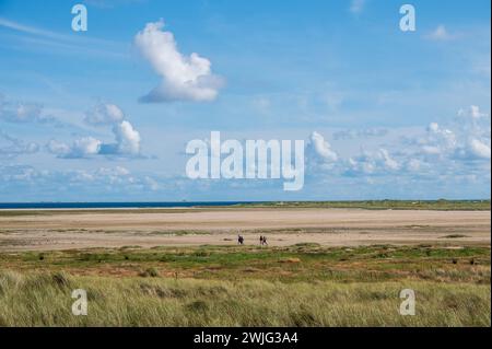 Dünenlandschaft mit Wanderern auf der Nordseeinsel Amrum en Frise du Nord *** paysage de dunes avec randonneurs sur l'île de la mer du Nord d'Amrum en Frise du Nord Banque D'Images