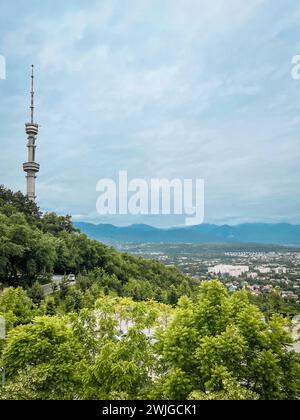 Une tour majestueuse s'élève gracieusement sur une colline luxuriante, offrant un panorama époustouflant sur un paysage urbain embrassé par une végétation dense en avant-garde. Banque D'Images