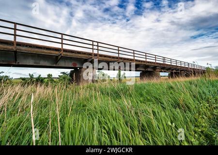 Ancienne ligne de train Darßbahn à Bresewitz, juste avant le Meiningenbrücke jusqu'à la péninsule Fischland-Darß, Mecklembourg-Poméranie occidentale, Allemagne Banque D'Images