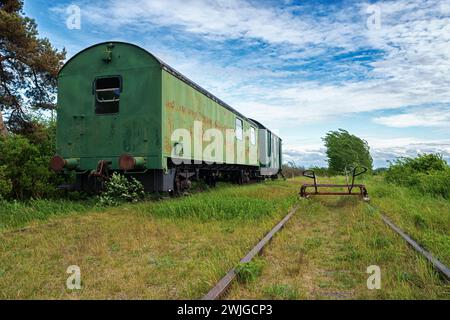 Vieux wagons abandonnés sur des voies ferrées abandonnées Banque D'Images