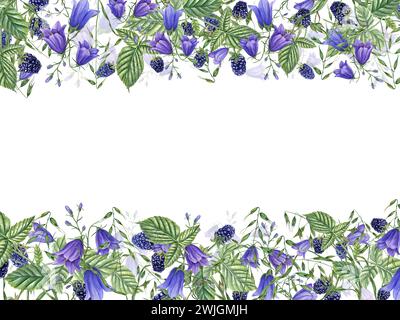 Mûres mûres, plantes de prairie et fleurs. Cadre horizontal avec baies, campanula, avena. Dewberry, Bramble. Illustration aquarelle. Pour templat Banque D'Images