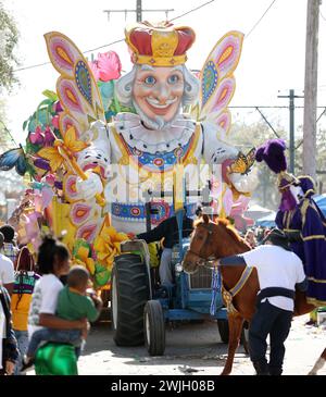 La Nouvelle-Orléans, États-Unis. 13 février 2024. Le flotteur Butterfly King roule à travers lors de la Rex Parade on équipé Charles Avenue à la Nouvelle-Orléans, Louisiane le mardi 13 février 2023. (Photo de Peter G. Forest/SipaUSA) crédit : Sipa USA/Alamy Live News Banque D'Images