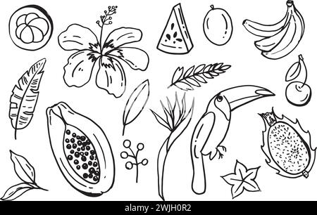 ensemble de collection dessiné à la main dessiné à l'été article de fruit objets gribouilles, bananes, toco toucan papaye pastèque tropique dragon fruitleaf palmiers mang Illustration de Vecteur