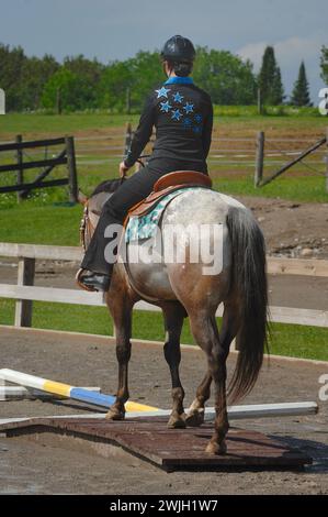 jeune femme cavalière occidentale sur rails à appaloosa youth show horse show portant une salle d'image verticale de vêtements occidentaux pour le type appaloosa tacheté cheval Banque D'Images