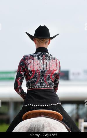 Chemise De Spectacle Western Avec Coussin De Selle Assorti Custom Rodeo Queen Pour Cheval Et Cavalier 1040296