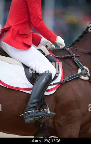 fermer photo recadrée du cavalier de saut d'obstacles sur cheval dans la compétition de saut portant la tenue de spectacle de cheval rouge veste d'équitation blanche culottes hautes bottes noires Banque D'Images