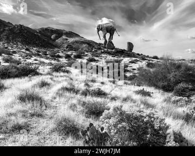 Création numérique d'un éléphant errant au McDowell Sonoran Conservancy Tom's Thumb Trailhead à Scottsdale, Arizona Banque D'Images