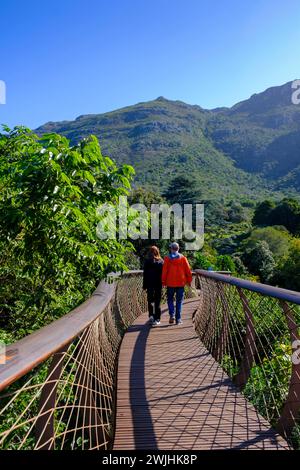 Visiteurs sur le Boomslang Canopy Trail, Kirstenbosch Tree Canopy Walkway, Kirstenbosch Botanical Gardens, Cape Town, Cape Town, Western Cape, Sud Banque D'Images