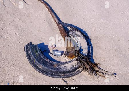 Déchets et varech lavés sur la plage, déchets marins, Platboom Beach, Cape point, Cape of Good Hope, Cape Peninsula, Western Cape, Afrique du Sud Banque D'Images