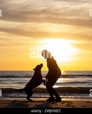 Silhouette d'un labrador et de son propriétaire se préparant à sauter ensemble sur la plage pendant le coucher du soleil. Banque D'Images