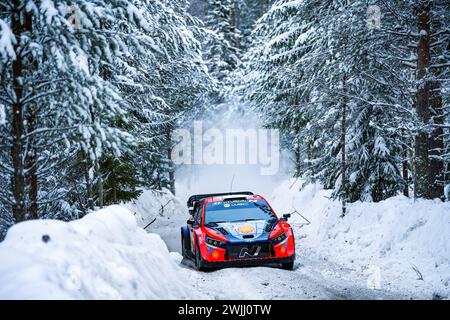 Umea, Suède. 15 février 2024. Le pilote Ott Tanak (est) de l'écurie Hyundai Shell Mobis World Rally Team vu en action lors du Championnat du monde des Rallye FIA WRC Rally. Crédit : SOPA images Limited/Alamy Live News Banque D'Images