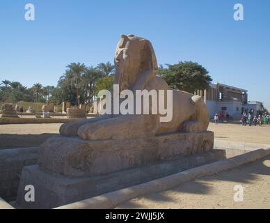 Memphis, Égypte : 19 novembre 2022- le sphinx d'albâtre de Memphis (le sphinx de calcite), Égypte Banque D'Images