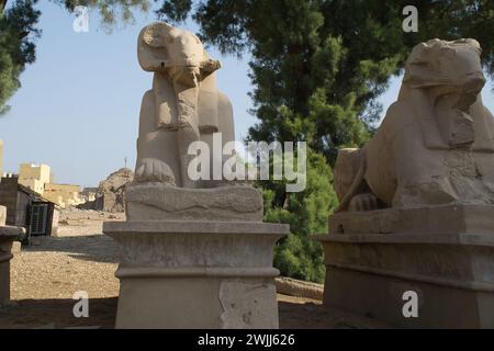 Les festivités du roi route ou avenue des Sphinx, statues à tête de bélier du temple de Karnak, Louxor, Égypte Banque D'Images