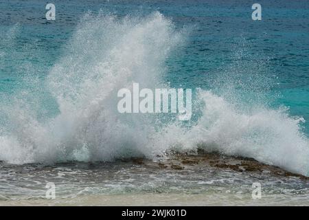 Briser les vagues sur les rochers près du rivage, grosse éclaboussure, Mahé Seychelles Banque D'Images