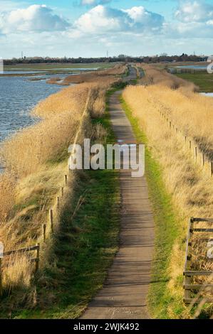 RSPB Frampton Marsh réserve naturelle vue au large de la rive de la mer regardant à l'intérieur des terres, Frampton, Boston, Lincolnshire, Royaume-Uni Banque D'Images