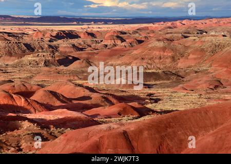 admirez les badlands colorés du parc national du désert peint, près de holbrook, par une journée d'hiver ensoleillée dans le nord-est de l'arizona Banque D'Images