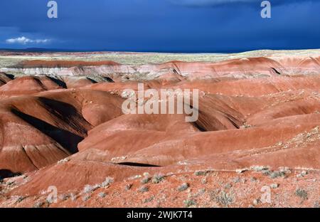 admirez les badlands colorés du parc national du désert peint, près de holbrook, par une journée d'hiver orageuse dans le nord-est de l'arizona Banque D'Images