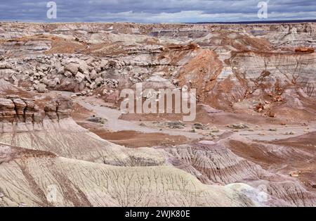 vue sur la zone bleue colorée de mesa badlands du parc national de forêt pétrifiée, arizona, par un jour d'hiver orageux Banque D'Images