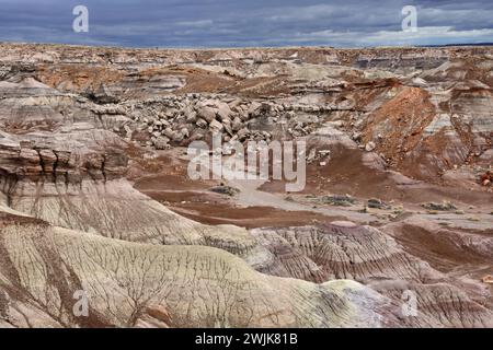 vue sur la zone bleue colorée de mesa badlands du parc national de forêt pétrifiée, arizona, par un jour d'hiver orageux Banque D'Images