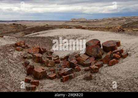 anciens segments de bois pétrifiés le long du sentier de la forêt cristalline dans le parc national de la forêt pétrifiée, arizona Banque D'Images