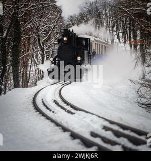 Budapest, Hongrie - belle scène de forêt d'hiver avec forêt enneigée et train de moteur à vapeur nostalgique sur la piste dans les collines Buda près de Huvosvol Banque D'Images