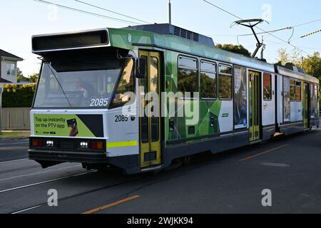 Tramway de classe B, exploité par Yarra trams et affichant la marque PTV actuelle, voyageant le long de Hawthorn Rd dans la banlieue de Melbourne autour du coucher du soleil Banque D'Images