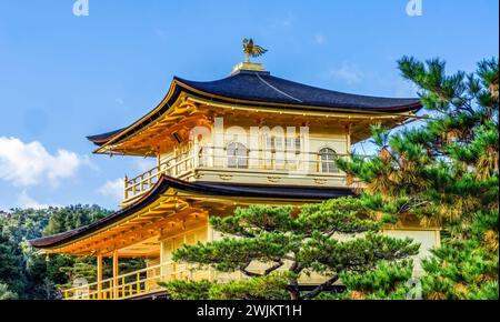 Pavillon d'or Kinkaku-Ji Temple bouddhiste Kyoto Japon Banque D'Images