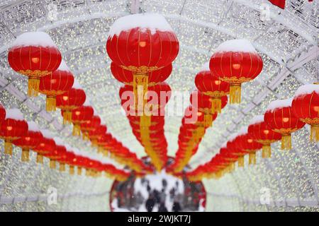 Lanternes chinoises rouges couvertes de neige dans une rangée sur une rue. Célébration du nouvel an lunaire Banque D'Images