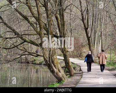 Femmes marchant le long d'un chemin avec des saules. Banque D'Images