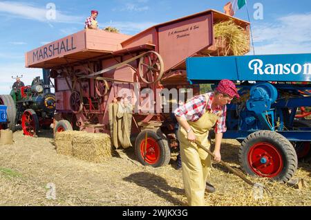 Vintage, battage, démonstration, St George, Conwy, pays de Galles du Nord, Royaume-Uni. Banque D'Images