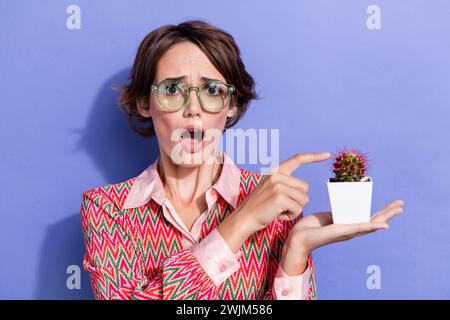 Portrait photo de jeune femme attrayante toucher des épines de cactus terrifiées habillées de vêtements imprimés élégants isolés sur fond de couleur violette Banque D'Images