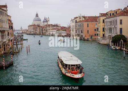 Italien, Venetien, Venedig 16.02.2024, Italien, ITA, Venetien, Venedig, im Bild Venedig, Stadtansichten, Touristen, Reisefeature, venezianisch, Reise, Venedig, Venezia, Venetien, Stadtansicht, Campanile, Canale Grande, Markusplatz, Markuskirche, Touristen, Gondel, Gondolere, Faehre, Motorboot, Wassertaxi, Vaporetto, Adria, lagune, Pfahlbauten, Bruecke, Rialtobruecke, la Gondola, Dogenpalast, Italien, Hochwasser, Creativ, Kreativ Venetien *** Italy, Veneto, Venice 16 02 2024, Italy, ITA, Veneto, Venice, en image Venise, vues de la ville, touristes, voyage caractéristique, vénitien, voyage, Venise, Venezia, Banque D'Images