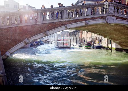 Italien, Venetien, Venedig 16.02.2024, Italien, ITA, Venetien, Venedig, im Bild Venedig, Stadtansichten, Touristen, Reisefeature, venezianisch, Reise, Venedig, Venezia, Venetien, Stadtansicht, Campanile, Canale Grande, Markusplatz, Markuskirche, Touristen, Gondel, Gondolere, Faehre, Motorboot, Wassertaxi, Vaporetto, Adria, lagune, Pfahlbauten, Bruecke, Rialtobruecke, la Gondola, Dogenpalast, Italien, Hochwasser, Creativ, Kreativ Venetien *** Italy, Veneto, Venice 16 02 2024, Italy, ITA, Veneto, Venice, en image Venise, vues de la ville, touristes, voyage caractéristique, vénitien, voyage, Venise, Venezia, Banque D'Images