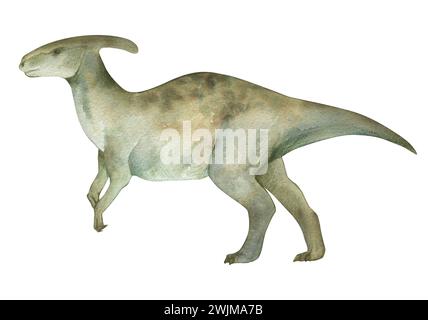 Illustration aquarelle d'un dinosaure parasaurolophus, texture aquarelle, fait main, isolé. Pour la décoration de la chambre des enfants, affiche, invitation Banque D'Images