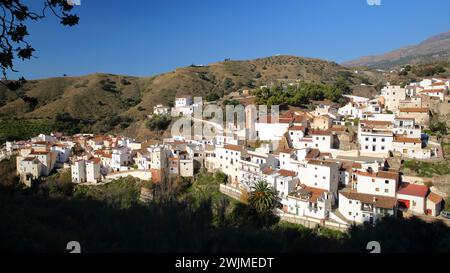 Vue vers le village de Salares, Axarquia, province de Malaga, Andalousie, Espagne, avec des maisons blanchies à la chaux et entouré de montagnes et d'arbres Banque D'Images