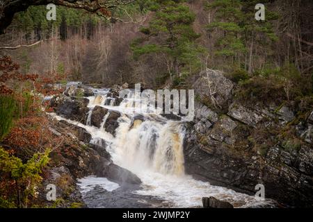 Rogie Falls près de Garve, Écosse Banque D'Images