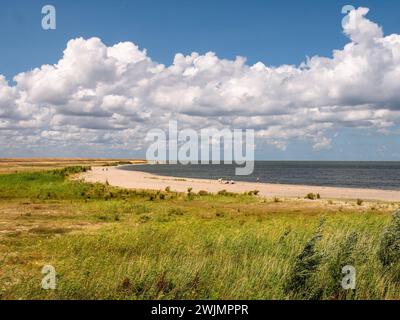 Plage IJsselmeer du barrage Houtribdijk reliant Enkhuizen à Lelystad, séparant les lacs IJsselmeer et Markermeer, pays-Bas, en été Banque D'Images