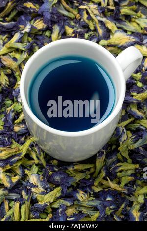 Tasse avec thé bleu de fleurs de pois papillon et fleurs de thé de pois papillon séchées autour de près Banque D'Images