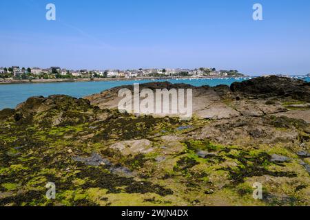 Côte rocheuse avec des algues à dinard, commune du département de l'Ille-et-Vilaine, Bretagne, nord-ouest de la France. Banque D'Images