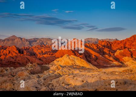 Grès aztèque rouge et blanc dans Fire Canyon au lever du soleil dans Valley of Fire State Park dans le Nevada. Le grès blanc est appelé le dôme de silice. Son s Banque D'Images