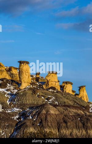 Les hoodoos de grès se dressant sur les badlands schistes en hiver dans le nord-ouest du Nouveau-Mexique près de Nageezi dans le bassin de San Juan. Banque D'Images