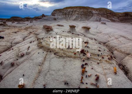 Mini-hoodoos et copeaux colorés de bois pétrifié dans les badlands du bassin de San Juan au Nouveau-Mexique. Banque D'Images