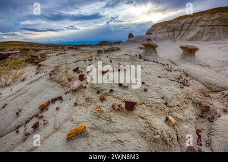 Mini-hoodoos et copeaux colorés de bois pétrifié dans les badlands du bassin de San Juan au Nouveau-Mexique. Banque D'Images