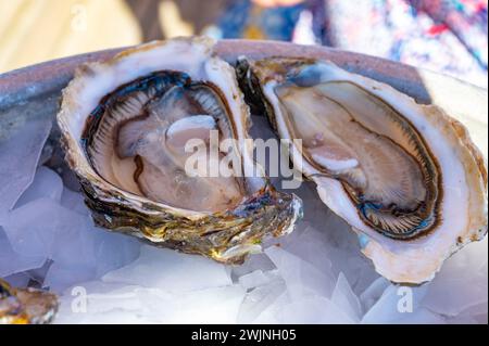 Manger des huîtres vivantes fraîches au café de la ferme dans le village ostréicole, bassin d'Arcachon, presqu'île du Cap Ferret, Bordeaux, France, gros plan Banque D'Images