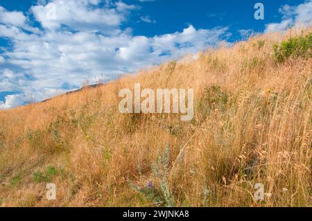 La pente de la prairie, Iwetemlaykin State Park, Joseph, Hells Canyon National Scenic Byway, Oregon Banque D'Images