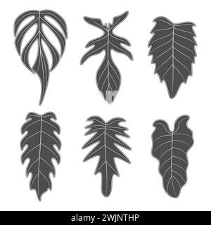 Ensemble d'illustrations en noir et blanc avec des feuilles de plante monstera creeper. Objets vectoriels isolés sur fond blanc. Illustration de Vecteur