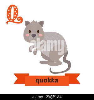 Quokka. Lettre Q. Mignon enfants alphabet animal dans le vecteur. Animaux de dessin animé drôles. Illustration vectorielle Illustration de Vecteur