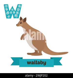 Wallaby. Lettre W. Mignon enfants alphabet animal dans le vecteur. Animaux de dessin animé drôles. Illustration vectorielle Illustration de Vecteur